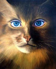 Gatti (102)